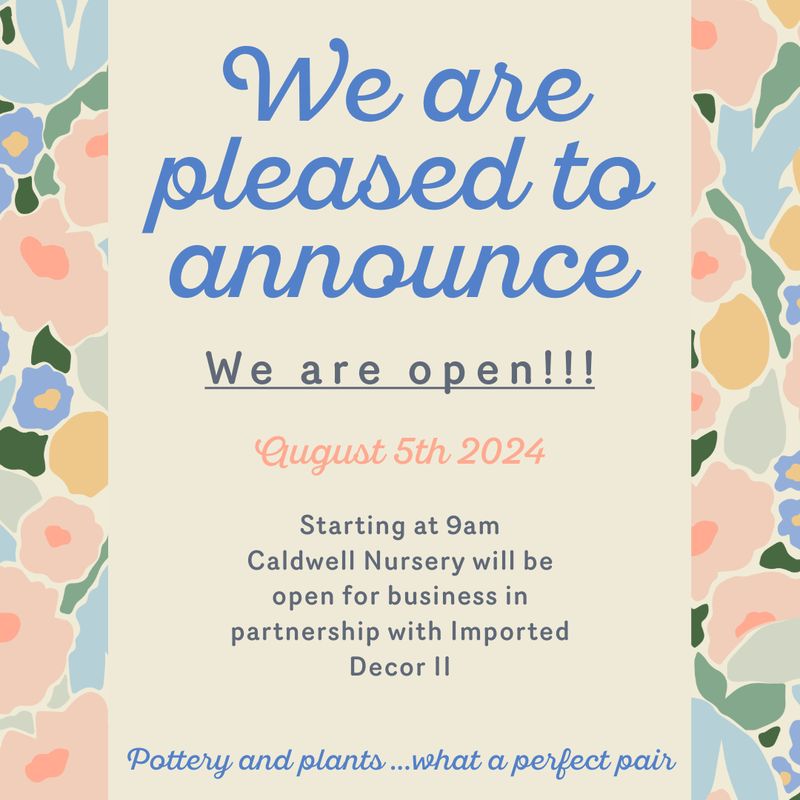 we are open August 5, 2024, starting at 9am in partnership with Imported Decor II. Pottery and plants...what a perfect pair.