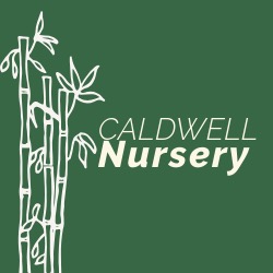 Caldwell Nursery in Rosenberg Texas