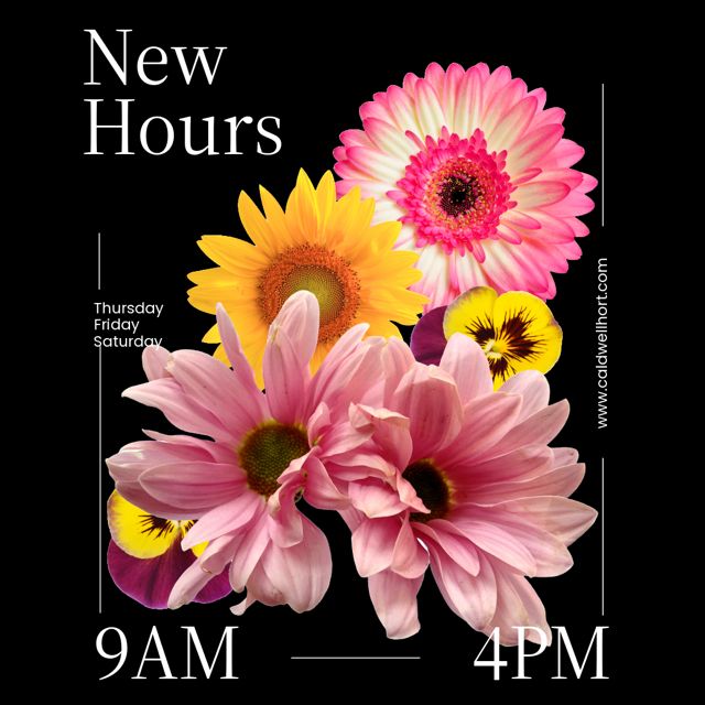 The nursery will be open, starting September 5, 2024, Thursday through Saturday, 9am to 4pm