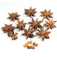 Dried Star Anise Fruit Seeds